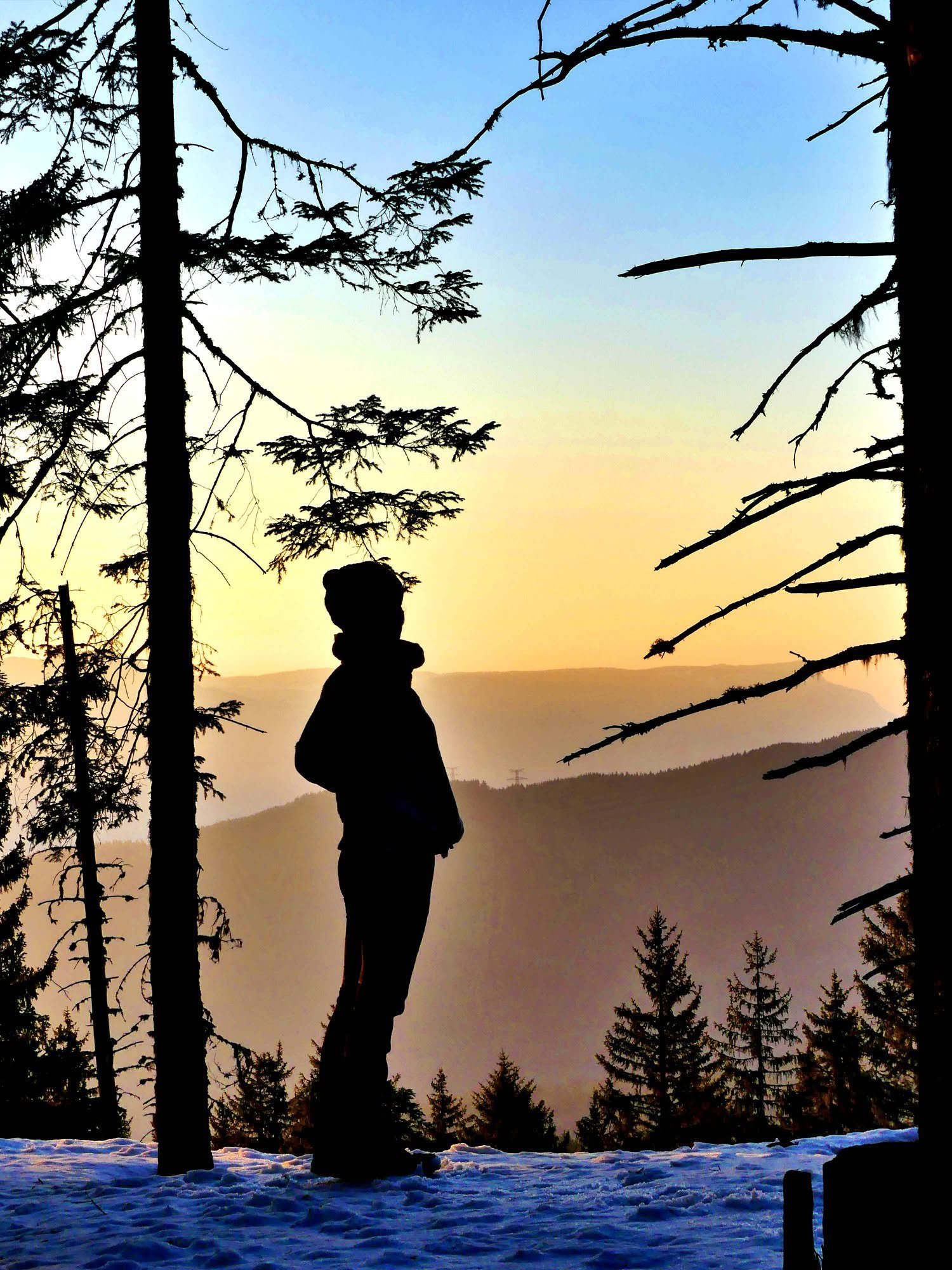Silhouette en forêt au coucher du soleil